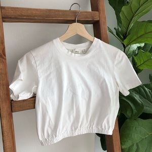 Aritzia Crop Top